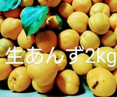 ☆平和 2kg 信州産 あんず 杏 生あんず アプリコット - メルカリ