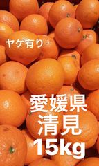 愛媛県産　清見　ヤケ有り　柑橘　15kg