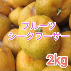 フルーツ（生食用）シークヮーサー　2kg　沖縄果物
