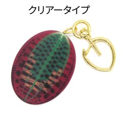 ドッシニアマルモラータ　クリアータイプ　アクリルキーホルダー