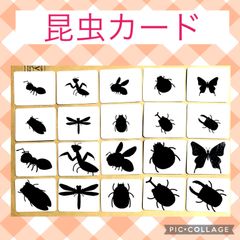 昆虫カード　神経衰弱　シルエットクイズ　モンテッソーリ