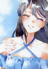 [중고] 팜플렛 팜플렛 청춘 돼지 놈은 스쿨 메모리의 꿈을 꾸지 않는다 -푸른 돼지전-