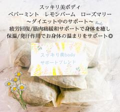 長野県木島平産国産無農薬高級よもぎ/厳選されたハーブハーブ/スッキリ美bodyサポートパック10個