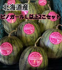 セール北海道産　ピノガール　　Lサイズ2個セット　自根苗栽培のサムネイル