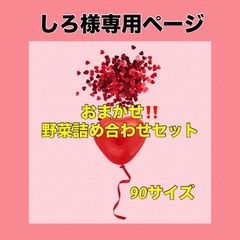 しろ様専用ページ‼️金曜日発送分‼️野菜詰め合わせセット‼️のサムネイル