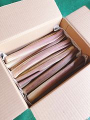 甘酢漬けに！ 生の赤ずいき 1kg