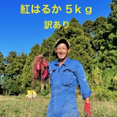 さつまいも 紅はるか5kｇ 訳あり 大中小サイズ混合家庭用 (中身4.8ｋｇ前後）有機質の畑で育ったサツマイモ