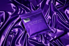 THE　STEM　CELL　NMN　FACE　MASK　30枚入　ザステムセルマスク　紫（フェイスマスク）