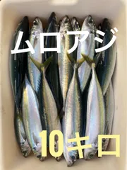 2025年最新】キビナゴ冷凍の人気アイテム - メルカリ