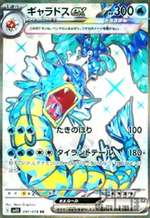 2025年最新】ギャラドスex srの人気アイテム - メルカリ