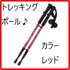 Item thumbnail for item 7a8332d5-fc3c-4882-8499-84a36369b984