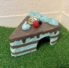 爬虫類　シェルター　チョコミント