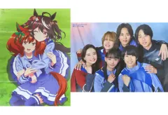 ウマ娘 ナイスネイチャ ポスター - メルカリ