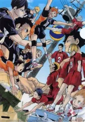 【中古】クリアファイル 烏野vs音駒 A4クリアファイル 「ハイキュー!!」