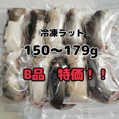 爬虫類のエサ　冷凍ラット　150〜179g 10匹　個包装　B品