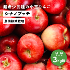 「シナノプッチ3キロ箱A品B品ミックス」リンゴ三兄弟 農林水産大臣賞 りんご 長野県産 安曇野 信州産 産地直送 送料無料 3キロ 箱使用 果物 フルーツ 鮮度抜群 産地直送