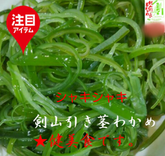 三陸岩手産 剣山引き茎わかめ500g 塩蔵❗