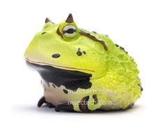 『キャベツツノガエル』野菜カエル　動物惑星シリーズ　フィギュア　動物の置物 キャベツツノガエル』野菜カエル 動物惑星シリーズ フィギュア