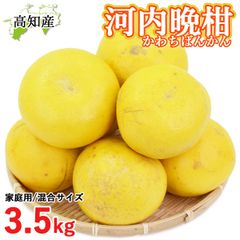 成田直送 河内晩柑 家庭用 3.5kg 混合 L～5L 成田果樹園 河内ばんかん 高知産 宿毛 特産 和製グレープフルーツ みしょうかん 美生柑 生産農家直送 夏文旦 夏ブンタン まろやか ジューシー かわちばんかん 夏 柑橘 なるた果樹園直送 宅急便