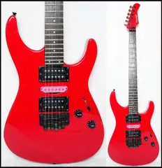 FERNANDES FR-55？ フロイドローズタイプ お値下げ交渉承ります