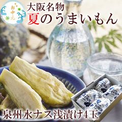 水ナス 水なす 漬物 ぬか漬け みずなす 水茄子 水ナス漬 [水なす浅漬け4個入り] 送料無料