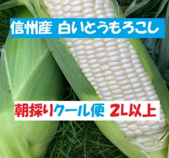 2024年最新】松茸 長野県産の人気アイテム - メルカリ