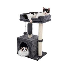 Item thumbnail for item 3b5c6e42-3836-496a-8dbd-161eb6bd7a35