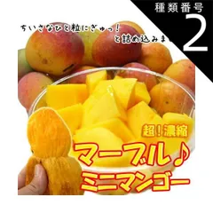 訳あり　ミニマンゴー　8,5kg クール便 楽天市場】ミニマンゴー 訳ありの通販
