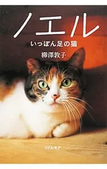 2025年最新】柳沢敦の人気アイテム - メルカリ