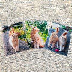 Item thumbnail for item 3652846d-05d8-418d-96b9-2f2e52e07187