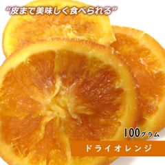 【セール開催中！】大地の生菓 ドライフルーツ ドライオレンジスライス 100g 送料無料 お試し 製菓材料 ポイント消化 手土産 プレゼント 非常食