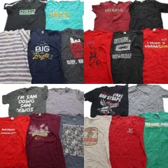 古着卸 まとめ売り カラーmix プリント 半袖Tシャツ 20枚セット (メンズ XL ) キャラクター スヌーピー 中古 古着 MZ0929