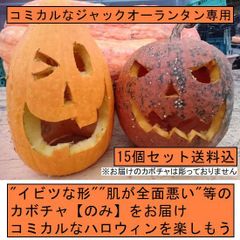 【訳アリ】ハロウィン コミカルなジャックオーランタン用かぼちゃ 15個１箱 Sサイズ カボチャ専門農家農場直送
