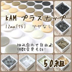 Item thumbnail for item f0809ad7-289c-4856-9d01-d447188ae918