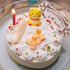 猫用ケーキ 誕生日ケーキ 猫用 レアチーズケーキ (当店オリジナル）※プレート・キャンドル付