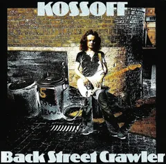 Black Street Crawler スカジャン 限定　虎　vintage BACK STREET CRAWLER 虎鷹地図柄 スカジャン M、Lサイズ