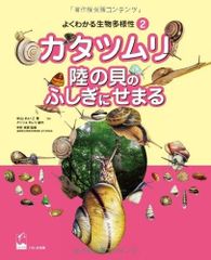 高知県のカタツムリ 陸貝 貝殻 標本 - メルカリ