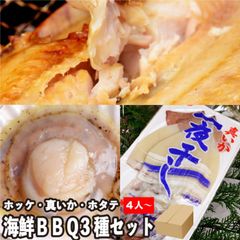 大満足 海鮮BBQ詰合せセット《5-7人/3種26品》 ほっけの開き2枚・ホタテ20枚・真いか4枚 バーベキュー （冷凍便）