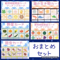 知育カード　おまとめお得セット　セット内容変更可能