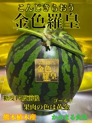 特大12k以上！金色羅皇 7L 熊本産　かめまる食堂 楽天市場】【ふるさと納税】 熊本産 金色羅皇 1玉 スイカ すいか