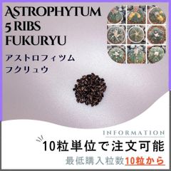 【種子】アストロフィツム フクリュウ /セット割有 数量10粒から購入可