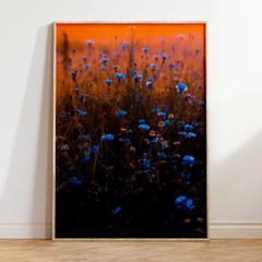 アートポスター 青い花とオレンジの夕景 コントラスト美 おしゃれ インテリア 壁掛け 6689