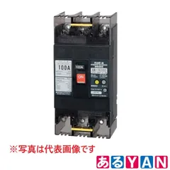(新品 未使用) テンパール工業 漏電遮断器 GB-103EC 100A 30MA Eシリーズ 経済タイプ OC付 モータ保護兼用 4950870140022