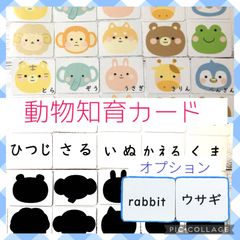 知育カード　動物カード　神経衰弱　マッチングカード　シルエットクイズ　メモリーカード