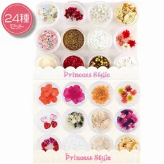 レジン 封入 パーツ 花 ドライフラワー 押し花 アクセサリーパーツ 24種類セット ( 雪の結晶 ＆ エレガント )【 UVレジン レジンクラフト 素材 材料 手作り 】