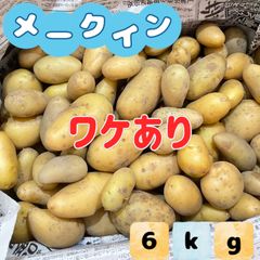福岡県産 無農薬ワケありメークイン 6kg ★1箱限り