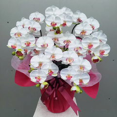 造花胡蝶蘭M/5F【白】【造花】約高70・幅50　・光触媒コーティング