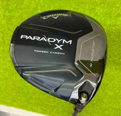 2025年最新】パラダイムx ドライバー 10.5の人気アイテム - メルカリ