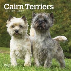 【輸入版】2024年 ケアーン・テリア ミニ カレンダー / ブラウントラウト 17.8 x 35.6 cm (Cairn Terriers  Calendar)