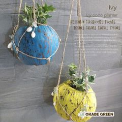 母の日 鉢植え 観葉植物 小さい アイビー ココプランターセット 吊り下げ ココの実 受皿付 ホワイトワンダー ミントコリブリ ジェティー アダム イエローリップル ウイリー ホワイトアン おしゃれ 鉢植え 人気 お祝い 誕生日 [白2]